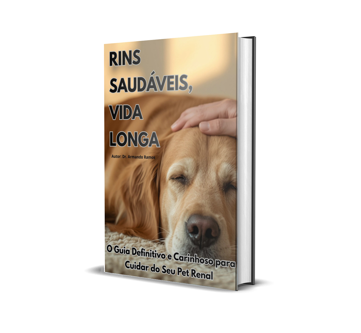 Livro Rins Saudáveis